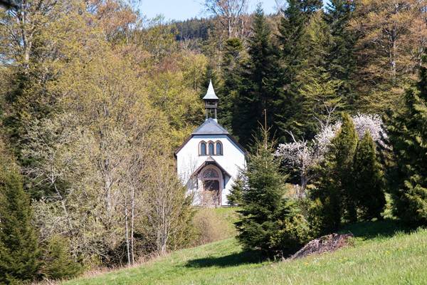 Quelle: M. Gieringer